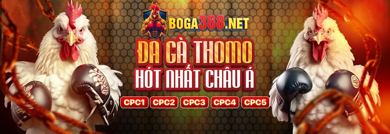 Hình ảnh đá gà trực tuyến sôi động tại Hii88 Code